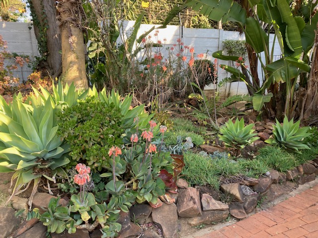 From the back garden.